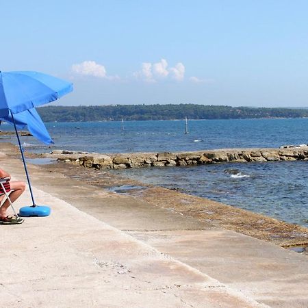 Apartments With A Parking Space Novigrad - 14408 المظهر الخارجي الصورة