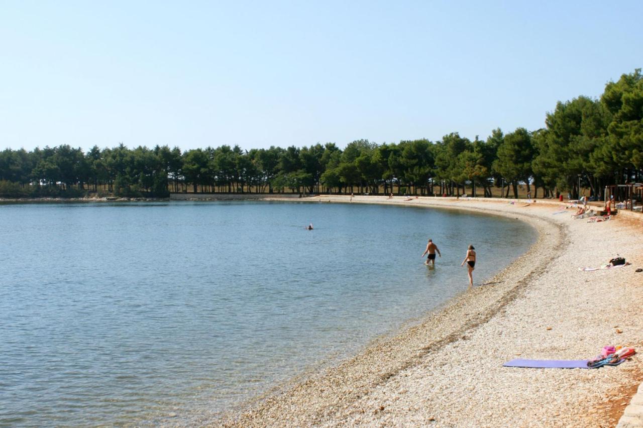 Apartments With A Parking Space Novigrad - 14408 المظهر الخارجي الصورة