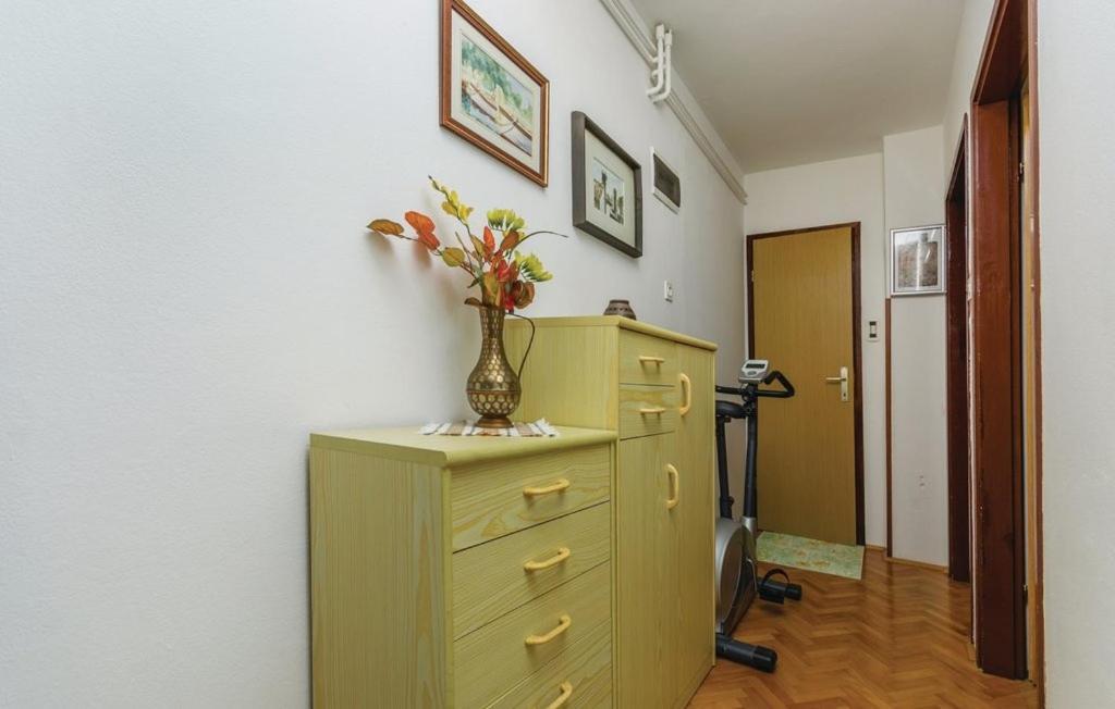 Apartments With A Parking Space Novigrad - 14408 المظهر الخارجي الصورة